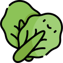 lechuga icon