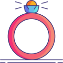 anillo icon