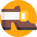 zapato icon