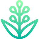 salvia icon