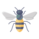 abeja icon