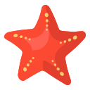 estrella de mar icon