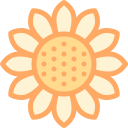 girasol icon