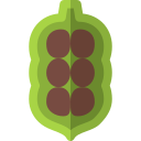 cardamomo icon