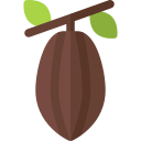 cacao icon