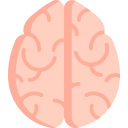 cerebro icon