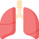 pulmones icon