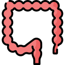 colon icon