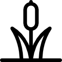 tifa icona
