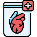 doação de órgãos 