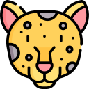 leopardo