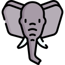 elefante