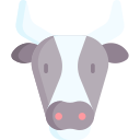 vaca