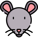 ratón