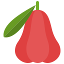 manzana rosa icon