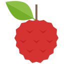 lychee icon