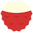 lychee icon