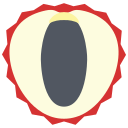 lychee icon