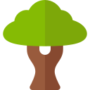 Árbol icon