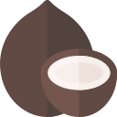 coco icon