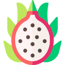 dragon de fruta icon