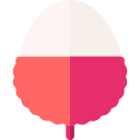 lychee icon