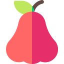 manzana rosa icon