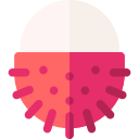 rambután icon