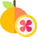 pomelo icon