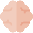 cerebro icon