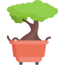 bonsai icon