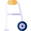 caminante icon