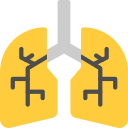 pulmones icon