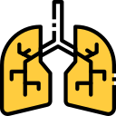 pulmones icon