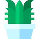 aloe vera icon