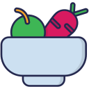 dieta icon