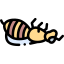 abeja icon