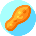 paramecio icon