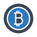 bitcoin icon