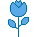 flor