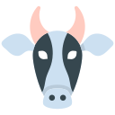 vaca