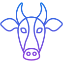 vaca