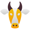 vaca