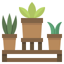 plantas 