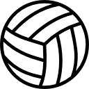 ballon de volleyball 