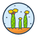 cactus icon