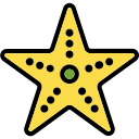 estrella de mar icon