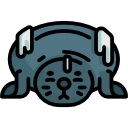 Seal 