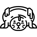 Seal 