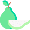 guayaba icon